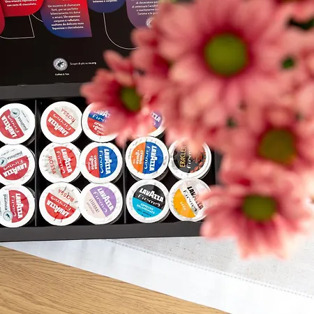 Residenza Elsa Domodossola