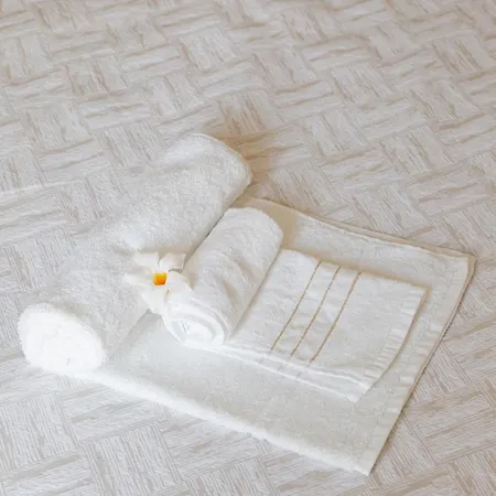 Residenza Elsa Guest house Domodossola
